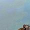 Chubby Discreet - Male escort in Phuket Photo 2 of 2
