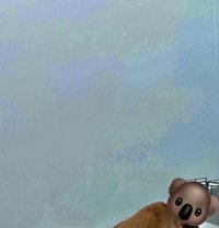 Bear - Acompañantes masculino in Phuket