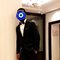 Bearded Bullseye - Acompañantes masculino in Mumbai
