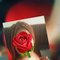 Beautiful Girl Tania for Ur Dick - escort in Kathmandu Photo 1 of 7