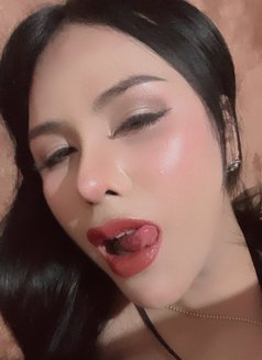 Beautiful Ladyboy 🇹🇭 - masseuse in Muscat Photo 1 of 8