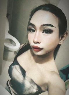 Beautiful New Ladyboy - Transsexual escort in Bangkok Photo 1 of 2