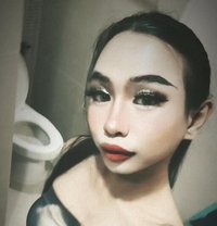 Beautiful New Ladyboy - Transsexual escort in Bangkok