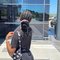 Beautiful Sexy Beauti - escort in Gurgaon Photo 4 of 5