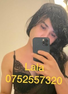 Beautiful shemale lala - Transsexual escort in Basel Photo 3 of 10