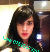 Beautiful shemale lala - Transsexual escort in Basel