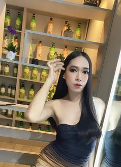 New Beauty - Transsexual escort in Muscat Photo 3 of 5