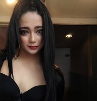 Chunky Fat Hard Cock - Transsexual escort in Singapore