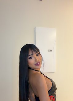 BeBe Available - Transsexual escort in Riyadh Photo 11 of 13