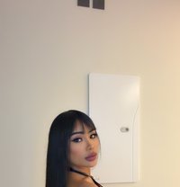 Bebe in Riyadh 🇸🇦 - Acompañantes transexual in Riyadh