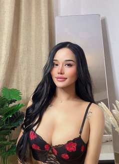 Bebeq good Dick big ass VipTop69 - Transsexual escort in Jeddah Photo 19 of 19