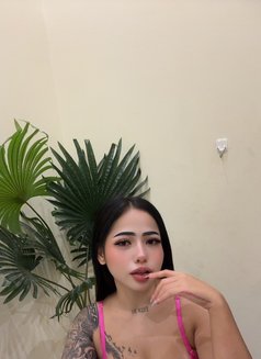 Bee Bee🇹ðŸ‡ðŸ‡¸ðŸ‡¦ - escort in Riyadh Photo 3 of 11