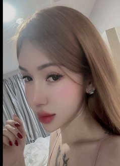 Bee hcmc now - Transsexual escort in Ho Chi Minh City Photo 12 of 22