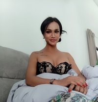 Bee Im Ladyboy Top - Agencia de acompañantes transexuales in Phuket