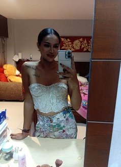 Bee Im Ladyboy Top - Transsexual escort agency in Phuket Photo 4 of 5
