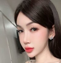 Bee in saigon - Transsexual escort in Ho Chi Minh City