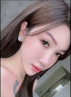 Bee in saigon - Transsexual escort in Ho Chi Minh City Photo 15 of 19