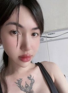 Bee - Transsexual escort in Kuala Lumpur Photo 11 of 18