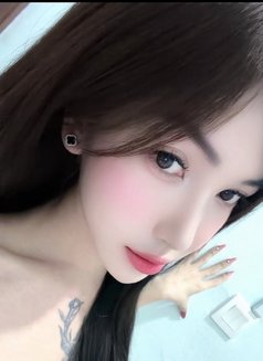 Bee - Acompañantes transexual in Johor Bahru Photo 14 of 19