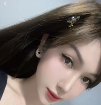 Bee in saigon - Acompañantes transexual in Ho Chi Minh City