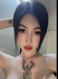 Bee - Transsexual escort in Kuala Lumpur Photo 13 of 18
