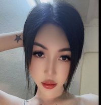Bee - Transsexual escort in Bangkok Photo 16 of 21