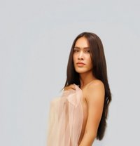bee_thai - Transsexual escort in Phuket