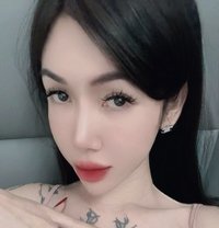 Bee - Transsexual escort in Bangkok