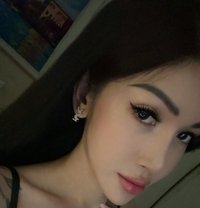 Bee - Transsexual escort in Bangkok