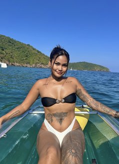 Beebee - escort in Phuket Photo 7 of 8