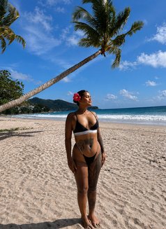 Beebee - escort in Phuket Photo 10 of 10