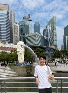 Beebee - Male escort in Bangkok Photo 14 of 29