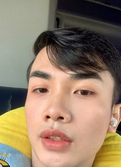 Beebee - Male escort in Pattaya Photo 3 of 8
