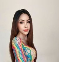 Maya Newly in Dubai 🇦🇪 - Transsexual escort in Dubai
