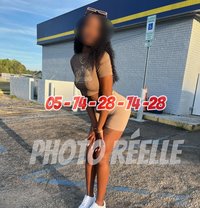 Bekanti - escort in Abidjan