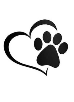 Bela - escort in Dubai Photo 2 of 5