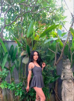 Belin Young Ts - Acompañantes transexual in Bali Photo 6 of 6