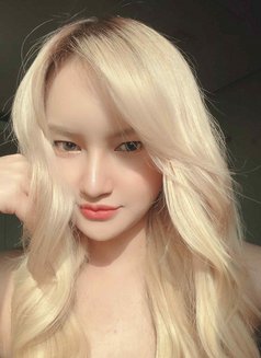 Bell & Friends - Agencia de putas in Bangkok Photo 5 of 15