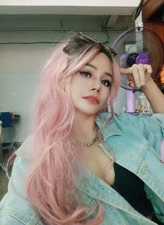 Bell & Friends - Agencia de putas in Bangkok Photo 8 of 15