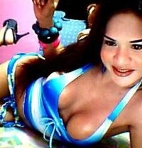 Miami Transsexual Escort