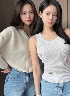 Bella and Bianca Twin Korean - escort in Singapore Photo 1 of 8