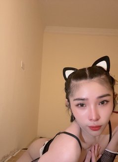 Bella B5 - Acompañantes transexual in Doha Photo 6 of 6