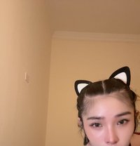 Bella B5 - Transsexual escort in Doha Photo 6 of 6