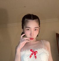 Bella B5 - Transsexual escort in Doha