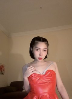 Bella B5 - Acompañantes transexual in Doha Photo 11 of 11