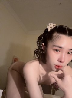 Bella B5 - Acompañantes transexual in Doha Photo 11 of 11