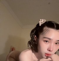 Bella B5 - Acompañantes transexual in Doha