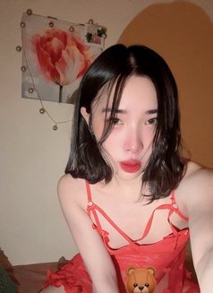 Bella B5 - Acompañantes transexual in Doha Photo 10 of 10