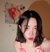 Bella B5 - Transsexual escort in Doha Photo 7 of 10