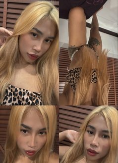 Bella the first time here - escort in Okinawa Island Photo 3 of 11